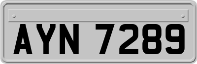 AYN7289