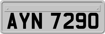 AYN7290