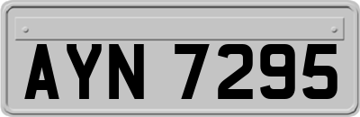 AYN7295