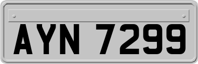 AYN7299