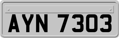 AYN7303