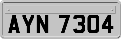 AYN7304