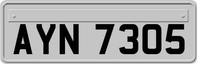 AYN7305