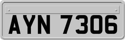 AYN7306