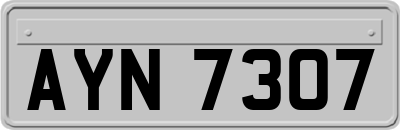 AYN7307