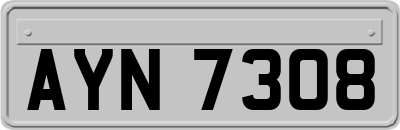 AYN7308