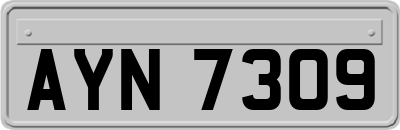 AYN7309