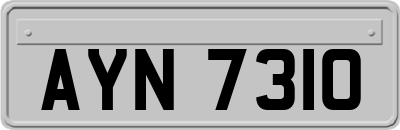 AYN7310