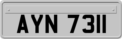 AYN7311