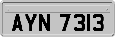 AYN7313