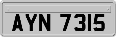AYN7315