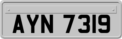 AYN7319