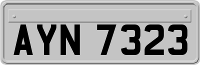 AYN7323