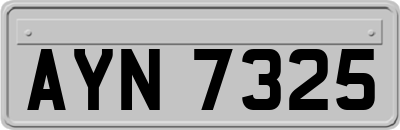 AYN7325