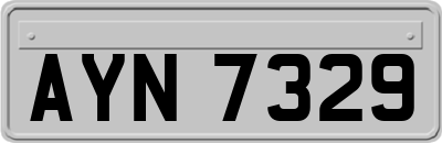 AYN7329