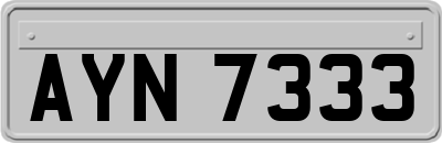 AYN7333