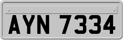 AYN7334
