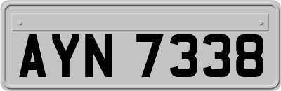AYN7338