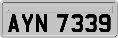 AYN7339