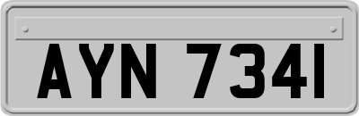 AYN7341