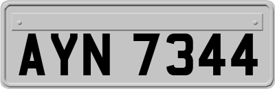 AYN7344