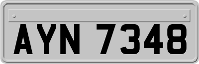 AYN7348