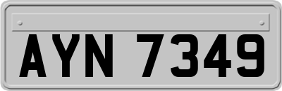 AYN7349