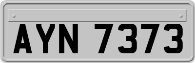 AYN7373
