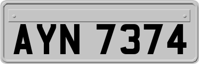 AYN7374