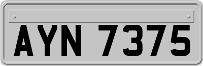 AYN7375