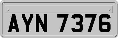 AYN7376