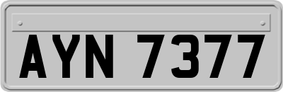 AYN7377