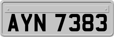 AYN7383