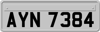 AYN7384