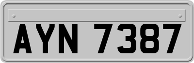 AYN7387
