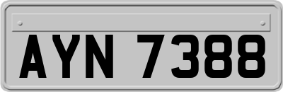 AYN7388