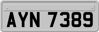 AYN7389