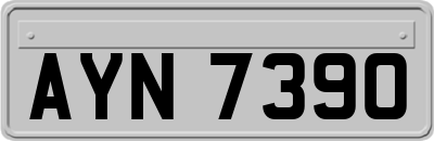 AYN7390