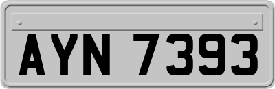 AYN7393