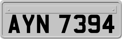 AYN7394
