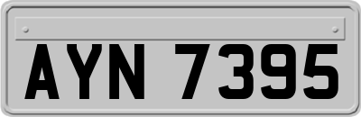 AYN7395