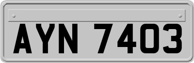 AYN7403