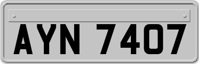 AYN7407