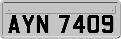 AYN7409