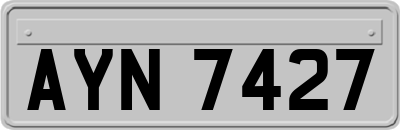 AYN7427