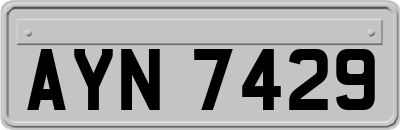 AYN7429