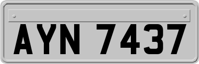 AYN7437