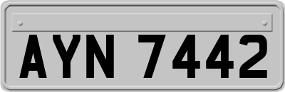 AYN7442