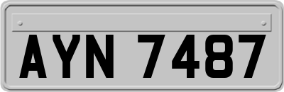 AYN7487