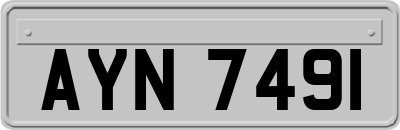 AYN7491